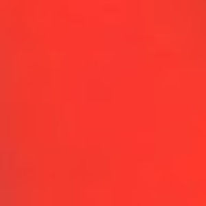 Meet your Posher, Finley